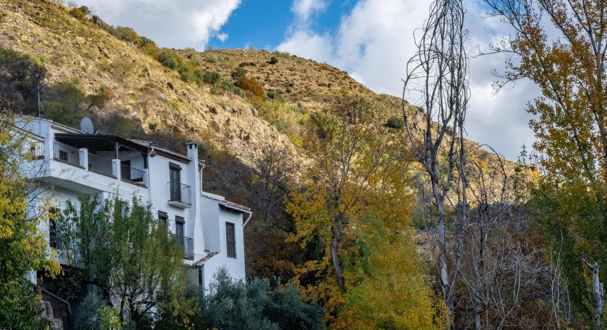 Casa Rural Arroyo De La Greda グエハル・シエラ エクステリア 写真